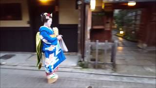 Walk with geisha in Kyotos famous Gion district [upl. by Leake]