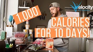 1000 CALORIES A DAY FOR 10 DAYS  Serious weight loss [upl. by Whitehouse]