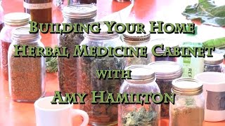 Building Your Home Herbal Medicine Cabinet with Amy Hamilton [upl. by Sille]