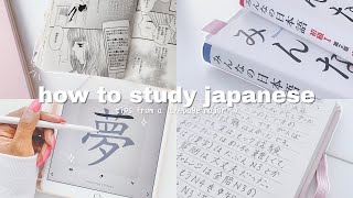 how i study japanese tips from an actual language major  THE ULTIMATE GUIDE [upl. by Hands627]