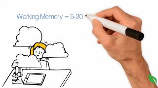 How Does Human Memory Work [upl. by Alisha]