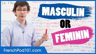 Gender of French Words Masculin vs Feminin [upl. by Ecyoj784]