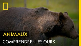 COMPRENDRE  Les ours [upl. by Macintyre]