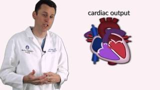 Ventricular Septal Defects by D Bailly  OPENPediatrics [upl. by Dasha]