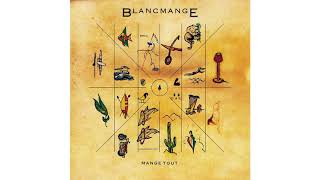 Blancmange  Blind Vision Official Audio [upl. by Sillert]