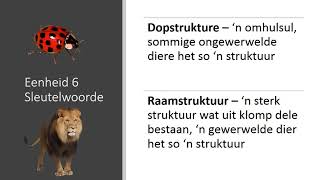 Graad 5 Natuur Wetenskap Kwartaal 1 Module 1 Eenheid 6 [upl. by Anaitsirc]