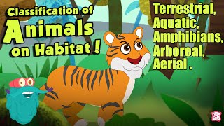 HABITAT OF ANIMALS  Classification Of Animals On Habitat  The Dr Binocs Show  Peekaboo Kidz [upl. by Atila]