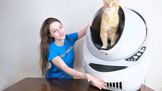 Litter Robot III Connect Review We Tested It For 2 Weeks [upl. by Marney]