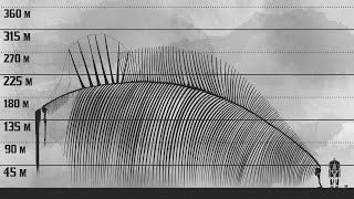 The New Biggest Titan  Attack on Titan Size Comparison [upl. by Ecyar]