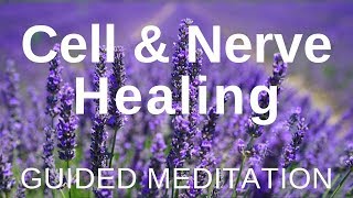 Guided HEAL Meditation  Cell and Nerve Healing Self Healing Meditation [upl. by Aciretahs]