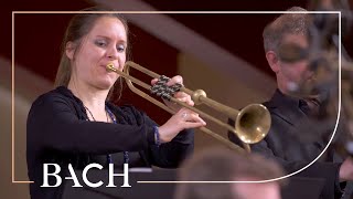 Bach  Easter Oratorio Kommt eilet und laufet BWV 249  Van Veldhoven  Netherlands Bach Society [upl. by Senzer]