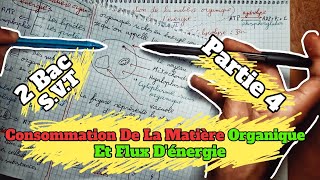 🔥🔥 Consommation De La Matière Organique Et Flux dénergie 🔻 Partie 4 🔻 2 Bac BIOF SVT 🔻1èr chapitre🔻 [upl. by Rebekah]