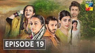 Udaari Episode 19 HUM TV Drama [upl. by Egiarc]