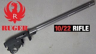 Ruger 1022 Build Part 1 [upl. by Nnaecarg]