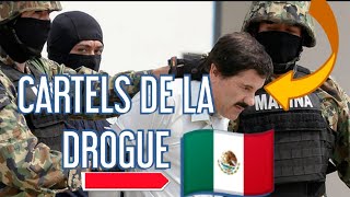 REPORTAGE CHOC  LES CARTELS DE DROGUE AU MEXIQUE [upl. by Isej]