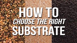 HOW TO Choose an Aquarium Substrate [upl. by Kermy]