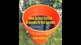 How to Use Coffee Grounds for Plants [upl. by Tnomal]