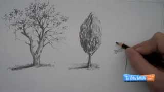 How to Draw Trees [upl. by Seana]