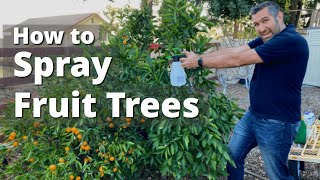 Spraying Fruit Trees and Garden Plants for Insects Fungus amp Disease  Come Let us Spray [upl. by Noscire]