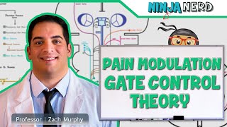 Ascending Tracts  Pain Modulation Gate Control Theory [upl. by Naima]