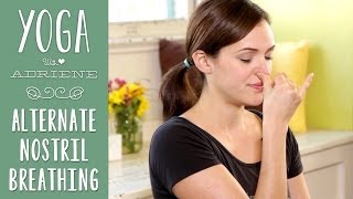 Yoga Breathing  Alternate Nostril Breathing [upl. by Norred161]