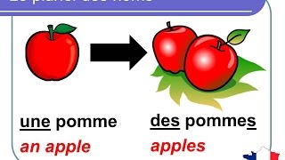 French Lesson 92  Plural nouns Grammar Rules Pronunciation  Le pluriel des noms en français [upl. by Sseb873]