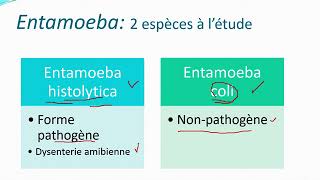 Chapitre 10 Parasitologie partie 2 Les protozoaires [upl. by Aneekahs]