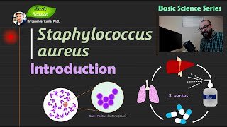 Staphylococcus aureus  Introduction  Bacteriology  Basic Science Series [upl. by Aig]