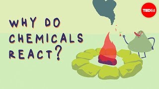 What triggers a chemical reaction  Kareem Jarrah [upl. by Laith180]