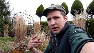 Ornamental Grasses  Winter Pruning amp Division [upl. by Mathe]