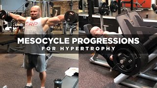 Mesocycle Progressions for Hypertrophy  Dr Mike Israetel [upl. by Ashil]