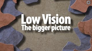 Low vision the bigger picture [upl. by Ahpla]