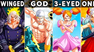 Every Race In One Piece Explained [upl. by Bernhard]