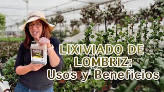 LIXIVIADO DE LOMBRIZ ¿Qué es y cuáles son sus beneficios✨ [upl. by Kcirdnekal]