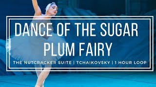 Dance of the Sugar Plum Fairy  Tchaikovsky Nutcracker  1 Hour Version [upl. by Morgana]