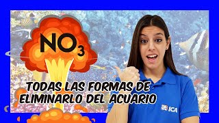 Nitratos en el acuario Como eliminarlos o reducirlos [upl. by Auginahs]