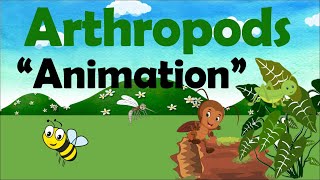 ARTHROPODS  Biology Animation [upl. by Ware]