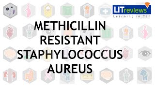 Methicillin Resistant Staphlococcus Aureus Infections [upl. by Nylatsirk]