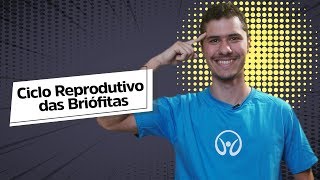 Ciclo Reprodutivo das Briófitas  Brasil Escola [upl. by Htrap]