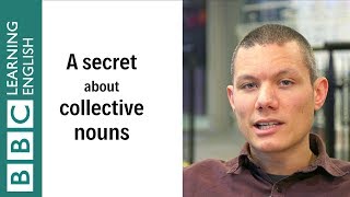 A secret about collective nouns  English In A Minute [upl. by Strait]