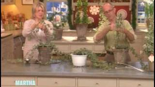 Ivy Topiaries ⎢Martha Stewart [upl. by Ekusuy]