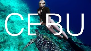 Top 5 Places You Have To See On Cebu Island  Philippines  Travel Guide [upl. by Sadiras601]