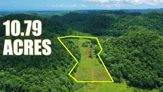 Affordable Farmland FOR SALE in Jamaica  What An Opportunity [upl. by Lena]