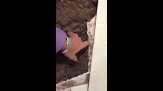 Mold Behind Your Shower Walls [upl. by Jalbert]