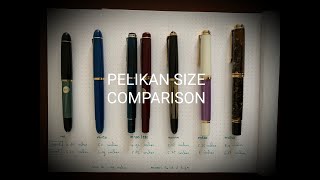 Pelikan Size Comparison [upl. by Heiner]