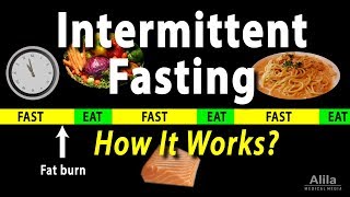 Intermittent Fasting  How it Works Animation [upl. by Ellienad]