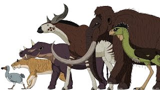 CENOZOIC BEASTS  Animated Size Comparison [upl. by Bobine]