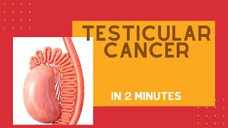 Testicular cancer in under 2 mins [upl. by Aihsak]