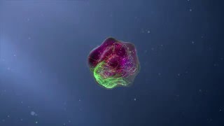 Flow Cytometry Animation [upl. by Anaele]