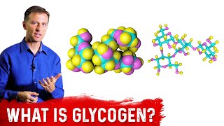 What is Glycogen – Dr Berg [upl. by Pettit]